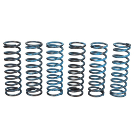 TRW Clutch springs set BMW F 650-800 04-18