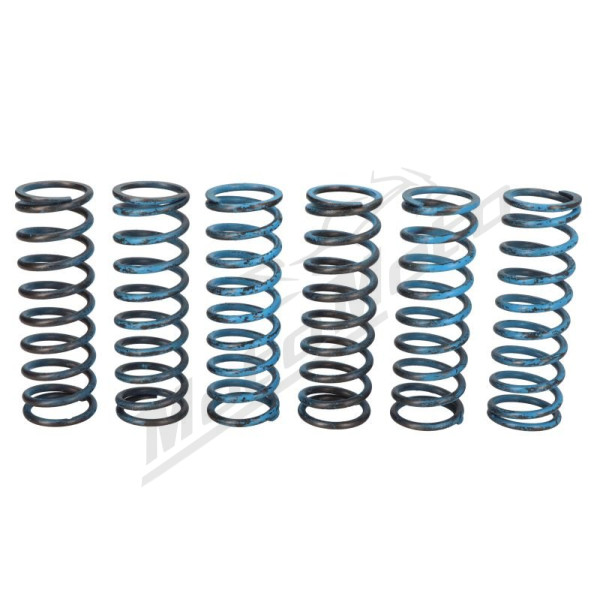TRW Clutch springs set BMW F 650-800 04-18