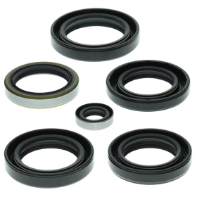 Winderosa (vertex) set (kit) of engine seals Kawasaki KVF 360 A / C 03-13