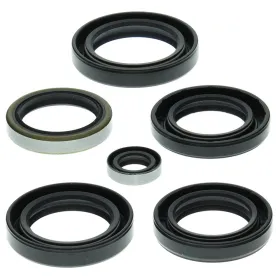 Winderosa (vertex) set (kit) of engine seals Kawasaki KVF 360 A / C 03-13