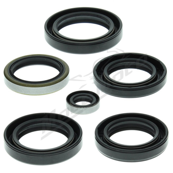 Winderosa (vertex) set (kit) of engine seals Kawasaki KVF 360 A / C 03-13