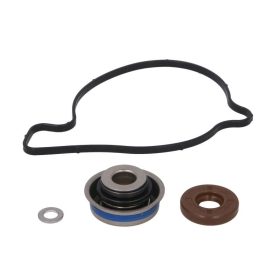 Winderosa Coolant pump repair kit Can Am / Ski Doo 500-1000 07-23