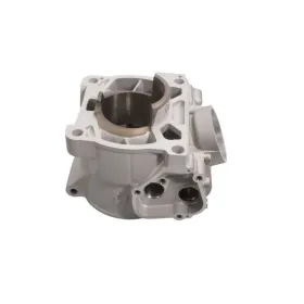 WOSSNER Cylinder Ø54,00mm Gas Gas / Husqvarna / KTM 125cc 16-23