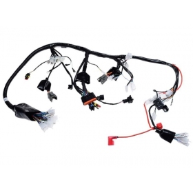 Wiring harness JUNAK 905 EURO4