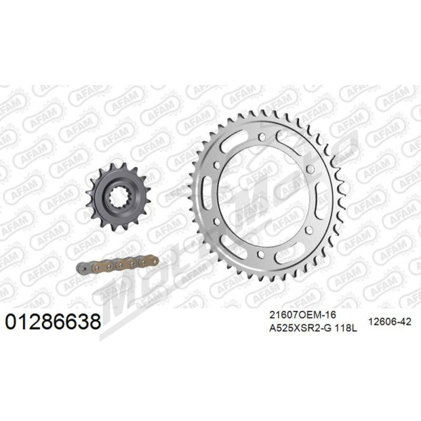 Afam Drive Train Kit (Complete Set) 525XSR2 Gold Yamaha TDM 900 02-14
