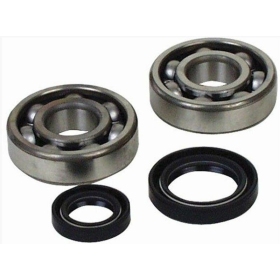 ALL BALLS Crankshaft Bearing & Oil Seal Kit YAMAHA YFZ 350 88-11