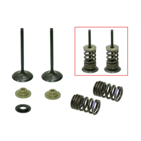 Psychic intake valves set KAWASAKI KXF 250 07-08