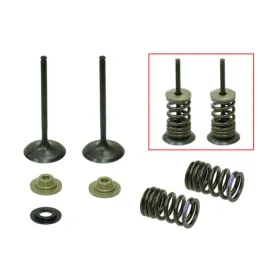 Psychic intake valves set KAWASAKI KXF 250 07-08