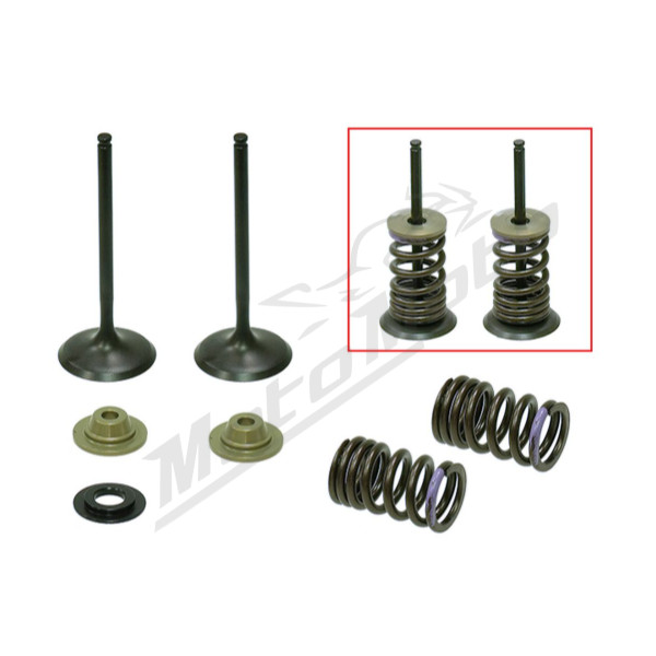 Psychic intake valves set KAWASAKI KXF 250 07-08