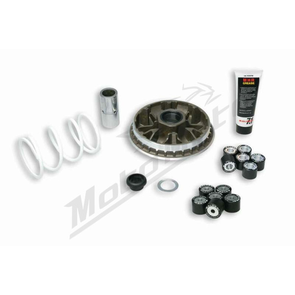 MALOSSI Multivar 2000 Variatoriaus kompl. Honda Forza / SH 300 07-21