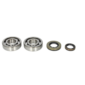 4Ride Crankshaft Bearing Kit SUZUKI RM 250 2003-2004
