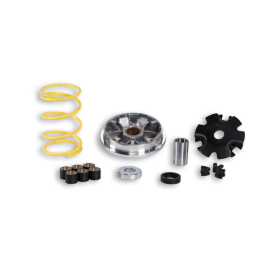 Variator MALOSSI Multivar 2000 Honda / Peugeot / PGO 50 89-03 AIR 2T