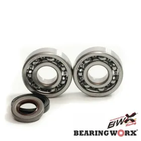 BEARING WORX Crankshaft bearings with sealers Gas Gas EC 125 2010>