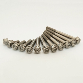 SCAR Engine Bolts KAWASAKI KX 250 21-24