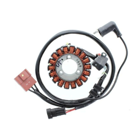 ELECTROSPORT Stator Gilera / Aprilia / Piaggio / Vespa 125-500 03-06