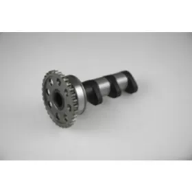 HOT CAMS Camshaft Exhaust - Stage 1 ARCTIC CAT / KAWASAKI / SUZUKI 400cc 00-09