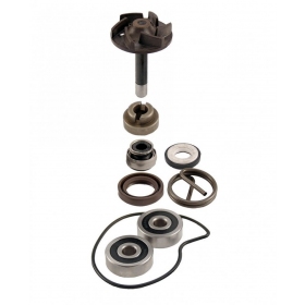 Water pump repair kit PIAGGIO BEVERLY 250 4T '04-'05