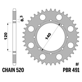 PBR Standard C45 Steel Rear Sprocket 491 - 520 ​​​​​​​KAWASAKI W 800cc 2019-2025