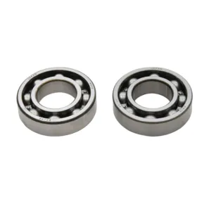 ALL BALLS Crankshaft bearings Polarias Hawkeye / Sportsman 300-400 06-11