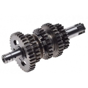 Gearbox gear DERBI SENDA / YAMAHA TT-R / XT / YBR / YFA / YFM 125cc 00-16