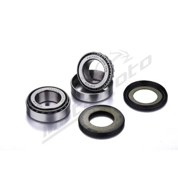 FACTORY LINKS Galinio rato guolių rinkinys Honda TRX 250cc 06-16