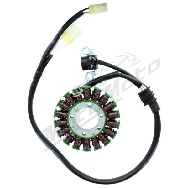 ELECTROSPORT Staror Yamaha WRF 450 12-15