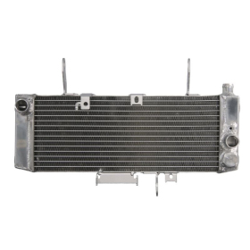 4Ride Radiator SUZUKI SV 650 2003-2004