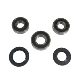 FACTORY LINKS Galinio rato guolių rinkinys Suzuki DR / XF 250-650cc 90-17