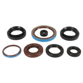 Winderosa (vertex) set (set) of engine seals Arctic Cat 550-700 12-20