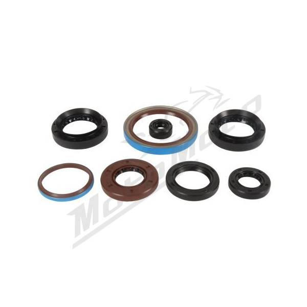 Winderosa (vertex) set (set) of engine seals Arctic Cat 550-700 12-20
