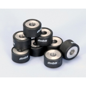 POLINI Variator Rollers 25x14mm 19gr Yamaha T-Max 530-560cc 12-22 8pcs.