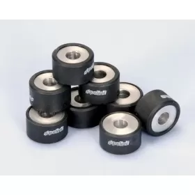 POLINI Variator Rollers 25x14mm 19gr Yamaha T-Max 530-560cc 12-22 8pcs.