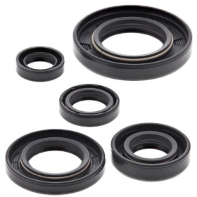 Winderosa (vertex) set (set) of engine seals Honda NX / XR 650 88-18