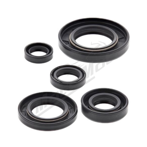 Winderosa (vertex) set (set) of engine seals Honda NX / XR 650 88-18