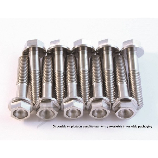 SCAR Titanium Screw Kit M8x20 By 2 (legth 80mm)