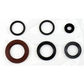 Oil seal set engine CENTAURO Suzuki Burgman 200 2014-2016