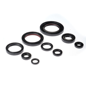 BEARING WORX Engine seals kit Honda TRX 450 06-14