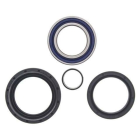 ALL BALLS Front Wheel Bearing Kit Honda TRX 350 00-06