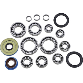 EPI Rear Differential Bearing/Seal Kit Polaris Sportsman 325-800 11-18