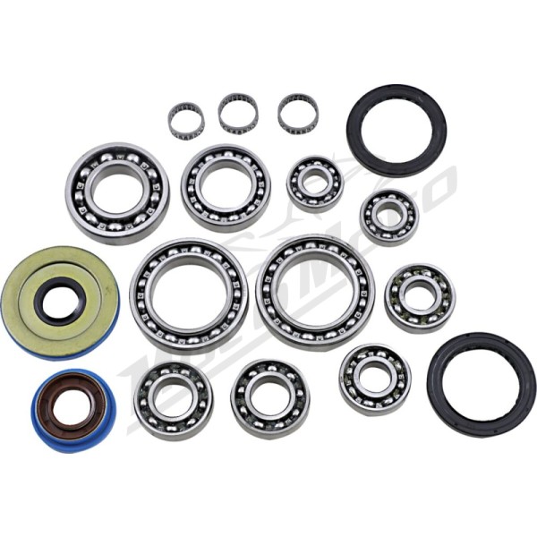 EPI Rear Differential Bearing/Seal Kit Polaris Sportsman 325-800 11-18