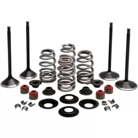 KIBBLEWHITE Engine Valve Kit Harley Davidson FLD / FLHR / FLHRC / FLHT / FLS / FXD / FXDB / FXDL / FXSTS 1450-1690 96-17