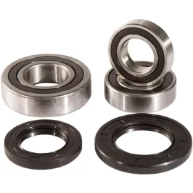 PIVOT WORKS galinio rato guolių ir sandariklių rinkinys Suzuki GSX-R 600-750 11-15