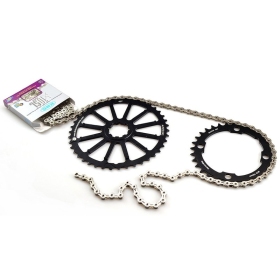 Galinė žvaigždė FIRST COMPONENTS 42