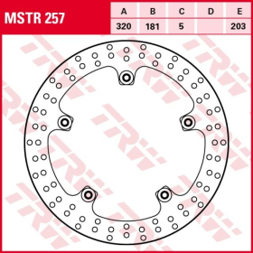 TRW Brake disc front fixed BMW K 1300-1600 07-18