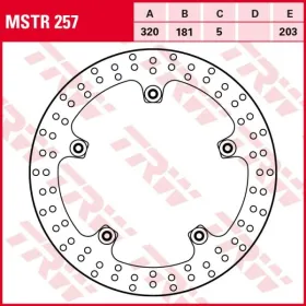 TRW Priekinis fiksuotas stabdžių diskas BMW K 1300-1600 07-18