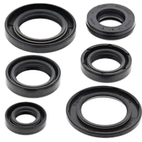 Winderosa (vertex) set (set) of engine seals Yamaha XT / TT / SRX 550-600 82-95