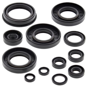 Winderosa (vertex) set (set) of engine seals Yamaha YZ 125 05-21