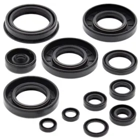 Winderosa (vertex) set (set) of engine seals Yamaha YZ 125 05-21