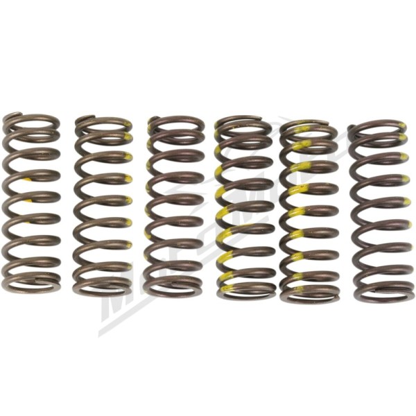 PRO CIRCUIT Clutch Spring Set Suzuki RM-Z 450 05-19