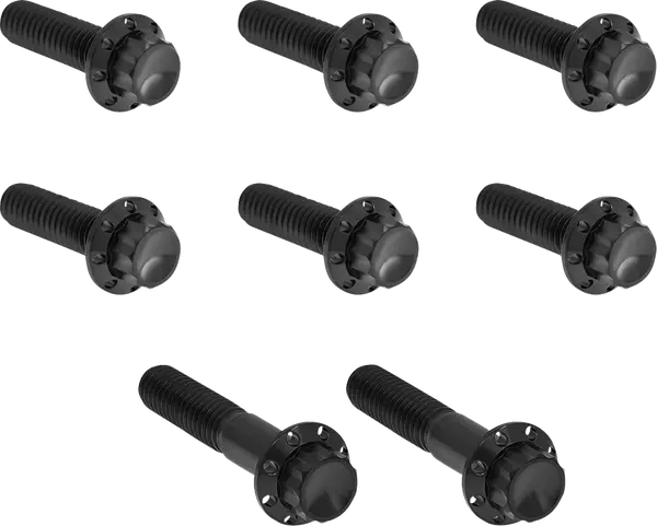 Arlen Ness Set Of Bolts For The Transmission Side Cover Harley Davidson FLHR / FLHRC 1584-1800cc 07-17